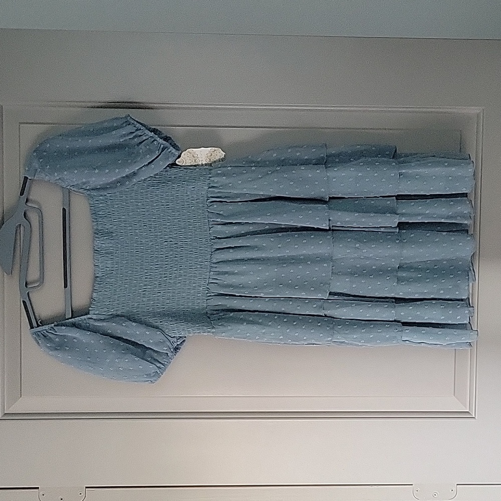 Altar'D State Mini Dress